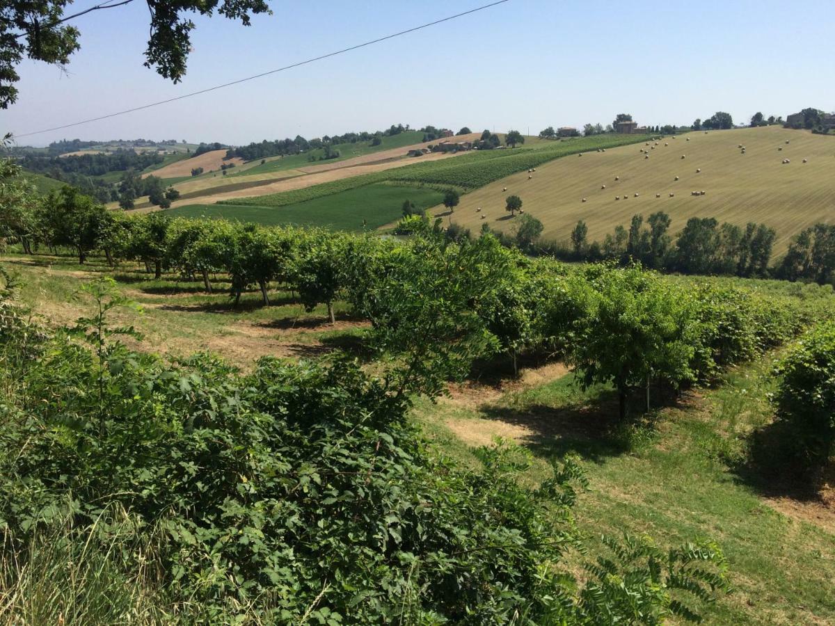 Il Giardino B&B Castelvetro di Modena Exterior photo