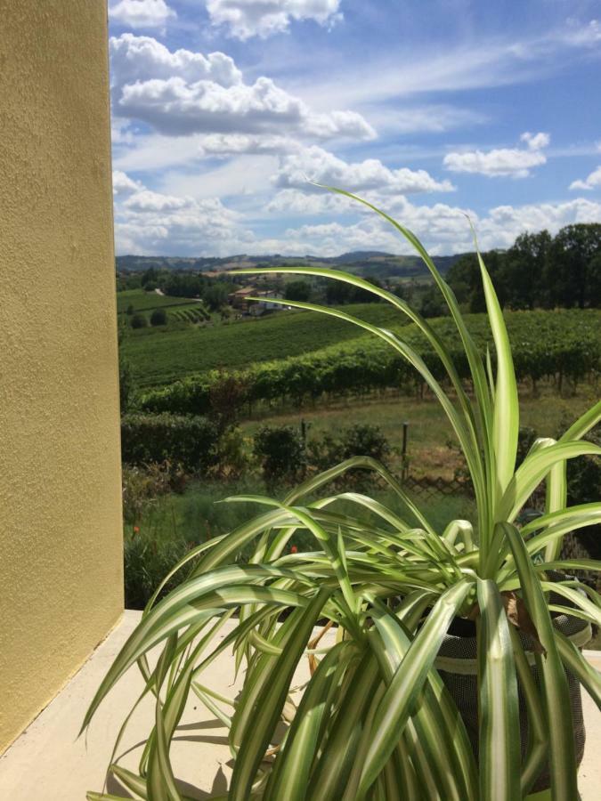 Il Giardino B&B Castelvetro di Modena Exterior photo
